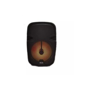 Parlante Portátil Bluetooth 600w 5 Pulgadas